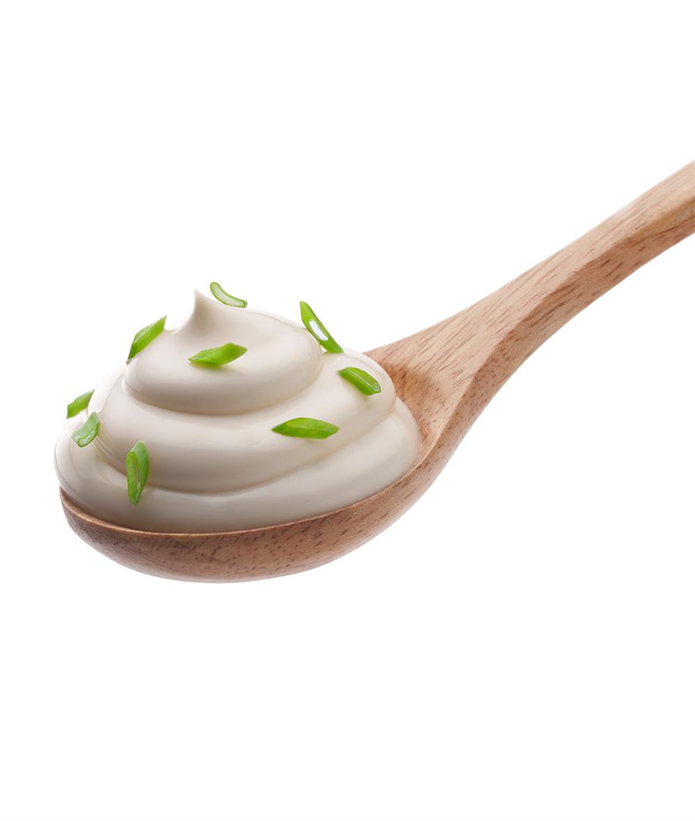 Maionese vegan_apresentação